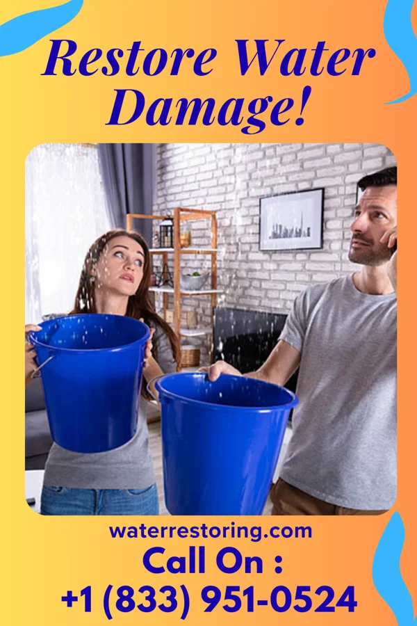 water restoration National Sewage Cleanup Co Marshallville