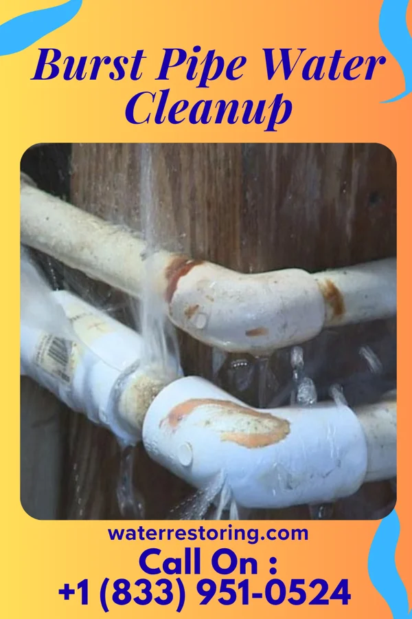 Burst Pipe Water Cleanup in Marshallville, NJ