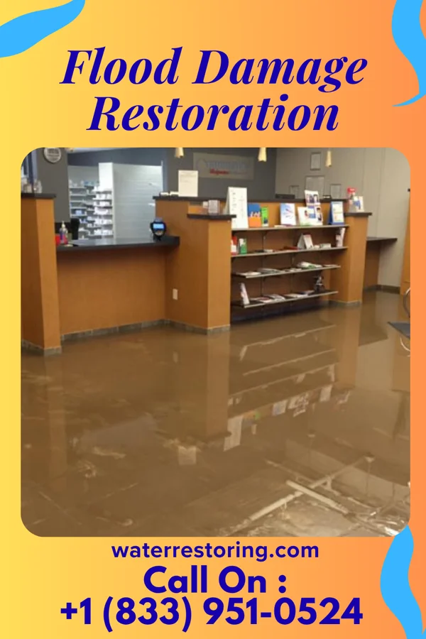 Flood Damage Restoration in Marshallville, NJ