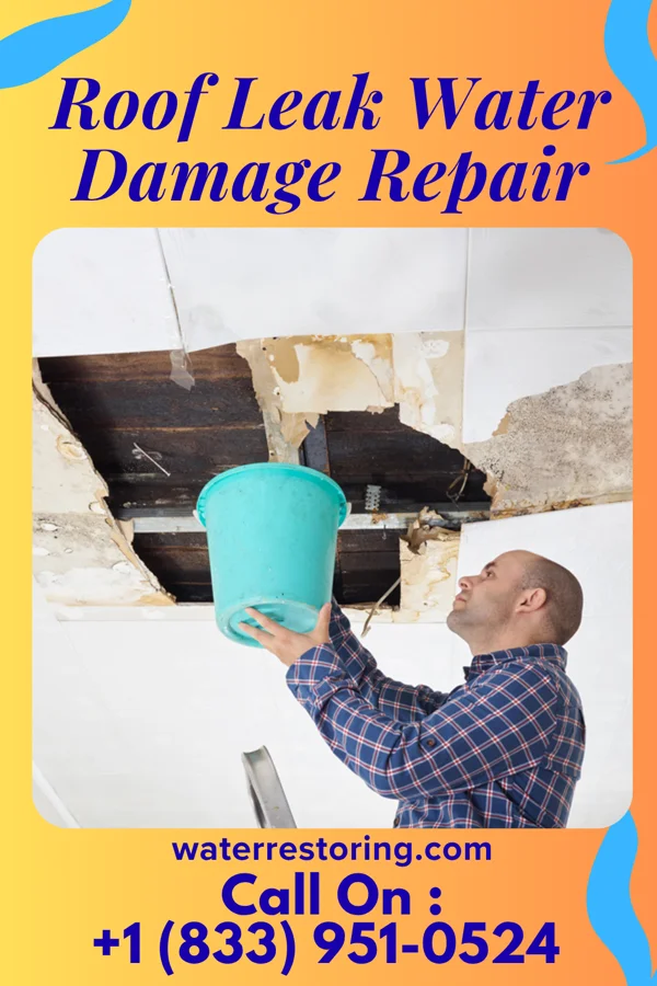 Roof Leak Water Damage Repair in Marshallville, NJ