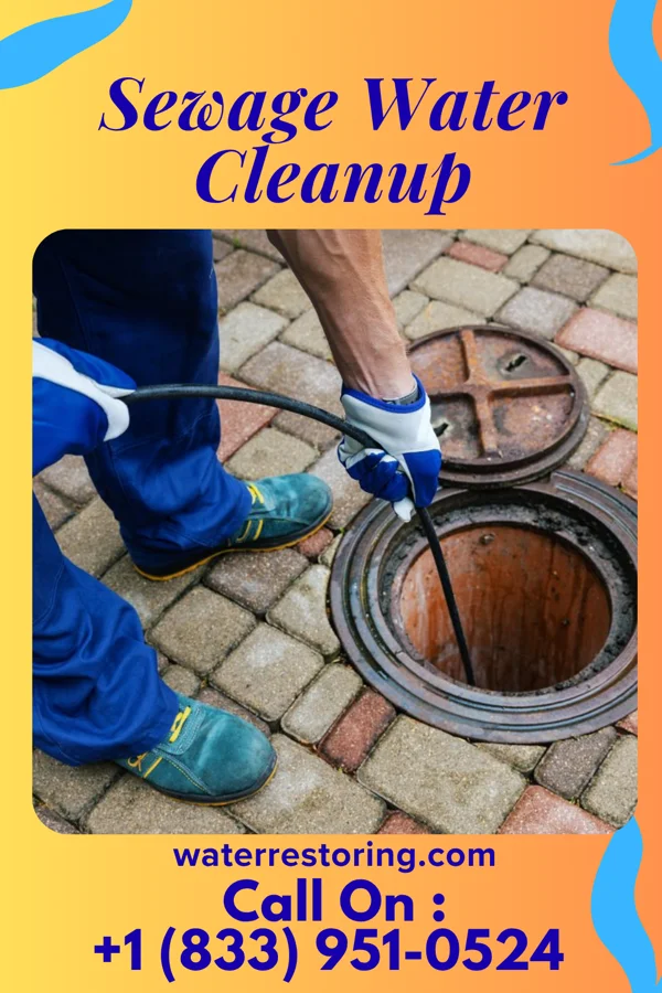 Sewage Water Cleanup in Marshallville, NJ
