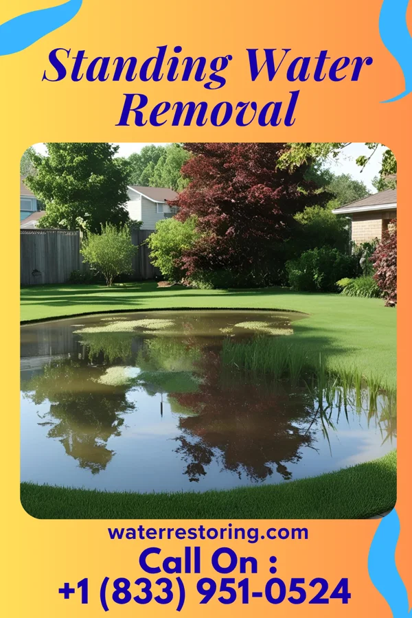 Standing Water Removal in Marshallville, NJ
